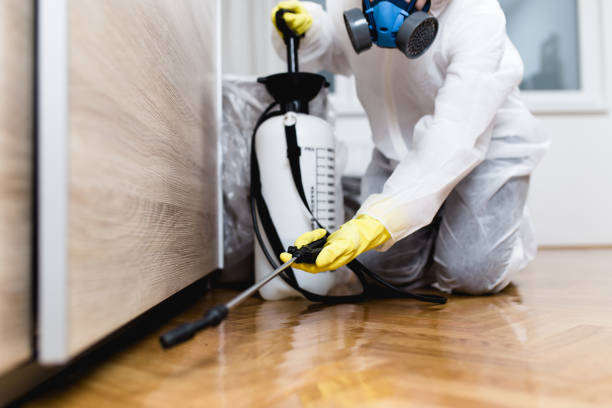 Best Cockroach Control Services  in Somers Point, NJ