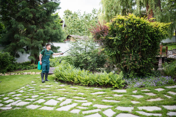 Best Exterminator Services  in Somers Point, NJ
