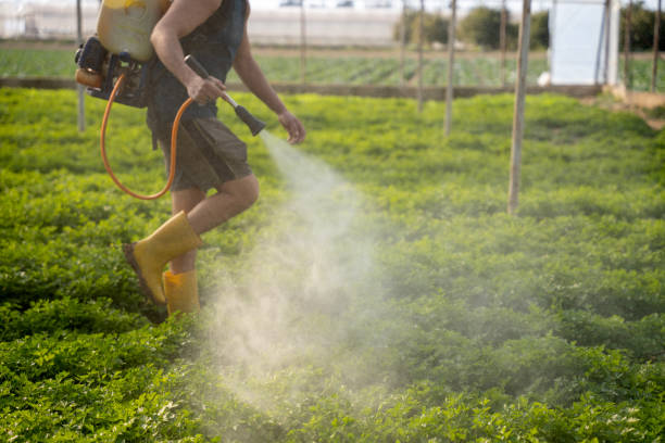 Best Pest Control Treatment  in Somers Point, NJ