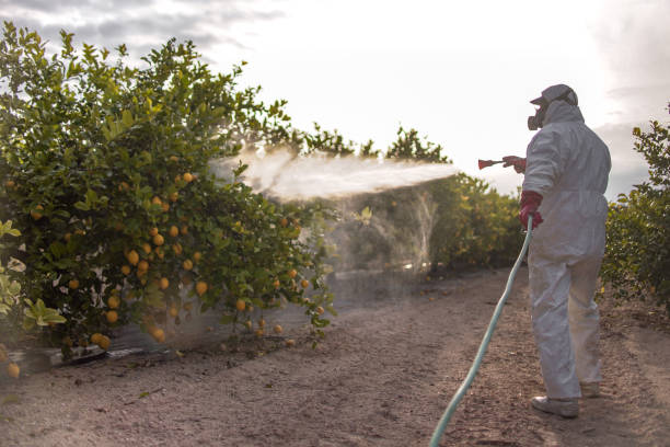 Best Pest Inspection Near Me  in Somers Point, NJ