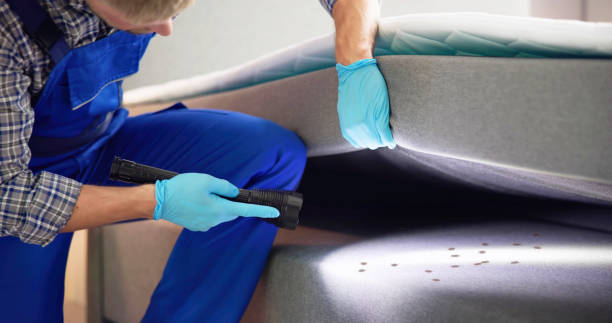Best Ant Control Services  in Somers Point, NJ