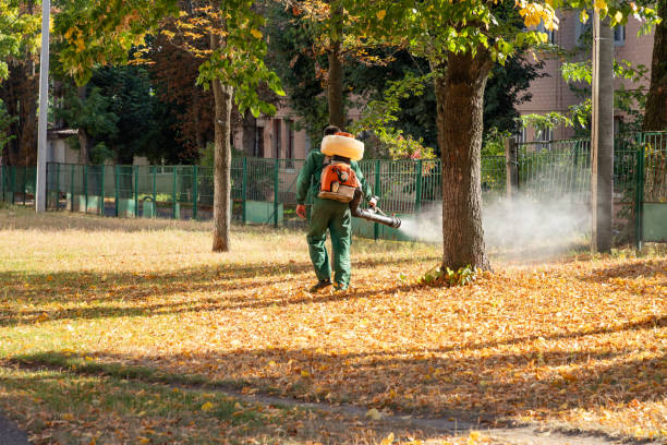 Best Pest Removal Services  in Somers Point, NJ