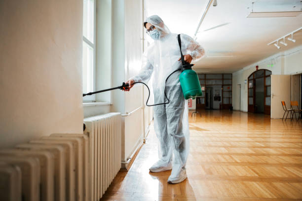 Best Wasp Removal Services  in Somers Point, NJ