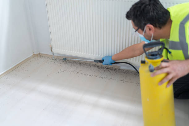 Pest Control for Restaurants in Somers Point, NJ