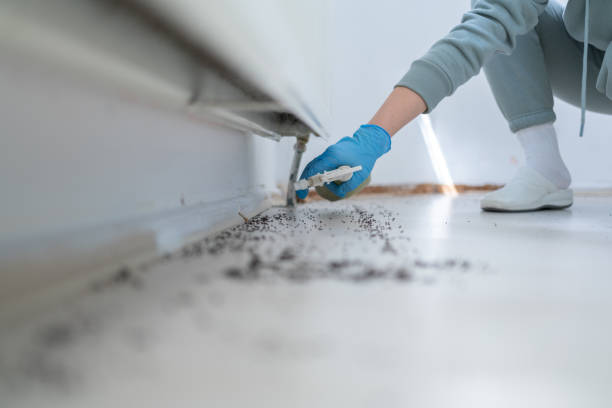 Best Pest Control for Restaurants  in Somers Point, NJ