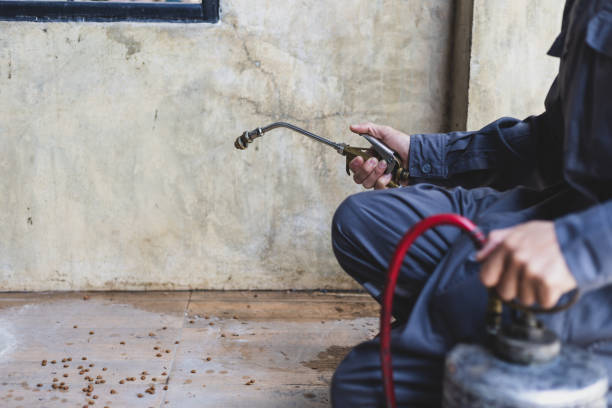Best Rat Extermination Near Me  in Somers Point, NJ
