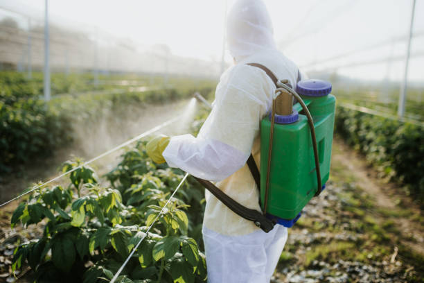 Best Affordable Pest Control Services  in Somers Point, NJ